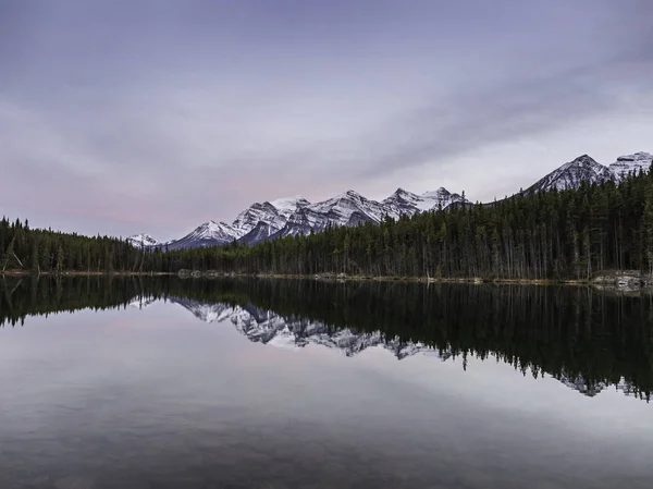 Schneebedecktes Gebirge Und Kiefern Die Sich Wasser Des Sees Spiegeln — Stockfoto