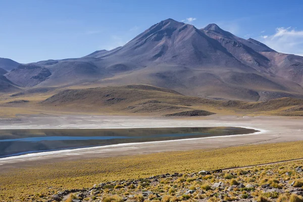 Vista Panorámica Del Lago Miscanti Parque Nacional Valle Muerte San — Foto de Stock