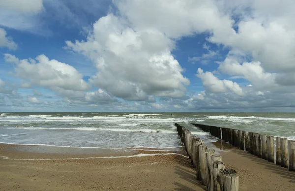 Hölzerne Wellenbrecher Und Meereslandschaft Domburg Zeeland Niederlande — Stockfoto