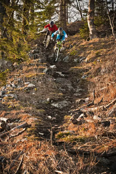 Uomini Mountain Bike Attraverso Foresta — Foto Stock