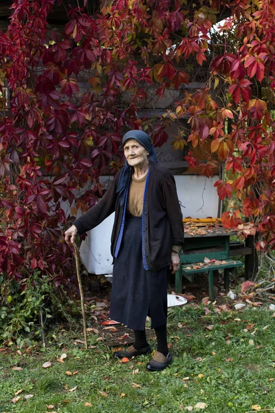 Portrait Femme Âgée Avec Bâton Marche Debout Dans Jardin Automne — Photo