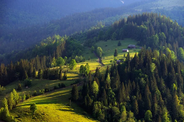 Village Dzembronya Montagnes Des Carpates Région Ivano Frankovsk Ukraine — Photo