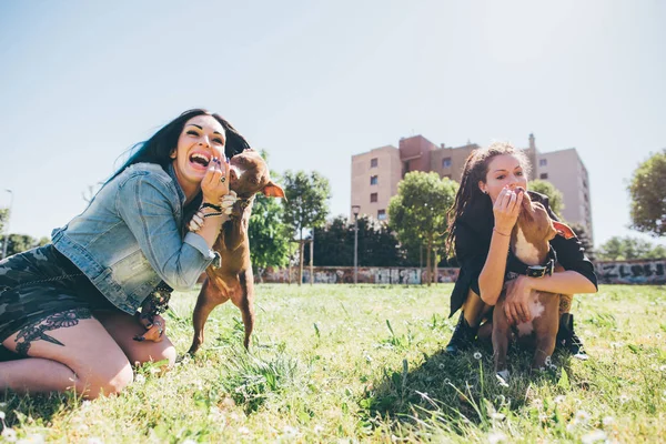 Dwie Młode Kobiety Grając Pit Bull Terrier Parku Miejskim — Zdjęcie stockowe
