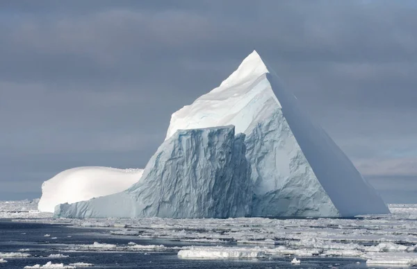 南大洋浮冰上的冰山 — 图库照片
