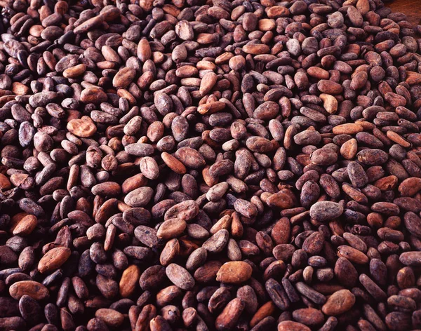 Vista Marco Completo Granos Cacao Crudos Ingrediente Chocolate — Foto de Stock