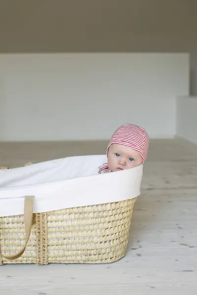 Portrait Baby Girl Moses Basket — Stock Photo, Image