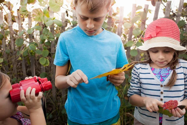 Children Investigating Leaves Blowing Rocks Preserve Jupiter Florida Usa — Stock Photo, Image