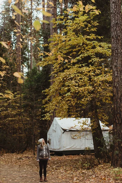 Samotna Wędrówka Lesie Yosemite National Park Kalifornia Usa — Zdjęcie stockowe