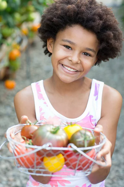 Menina Segurando Cesta Tomates Maduros — Fotografia de Stock