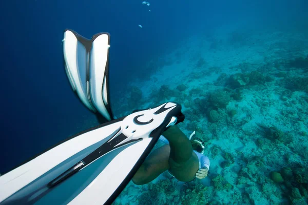 Freediver Diving Bottom — Stock Photo, Image