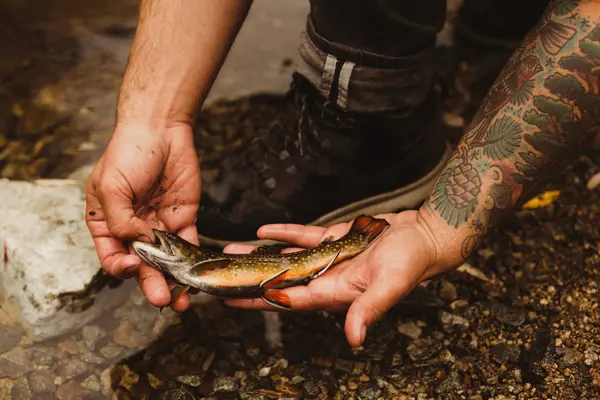 Excursionista Sosteniendo Peces Orilla Del Río Rey Mineral Parque Nacional —  Fotos de Stock