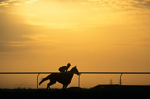 Een Silhouet Van Een Jockey Berijdend Een Paard — Stockfoto