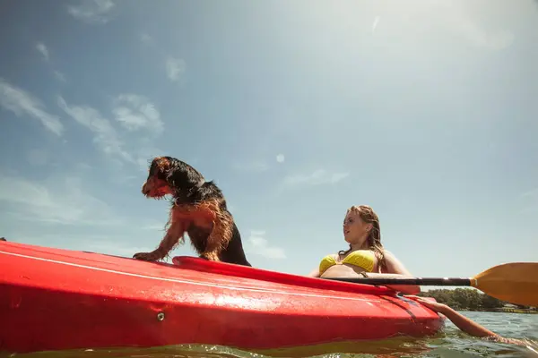 Teenage Girl Pet Dog Kayak — Stock Photo, Image