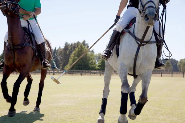 Two Adult Men Playing Polo — Stock Photo, Image