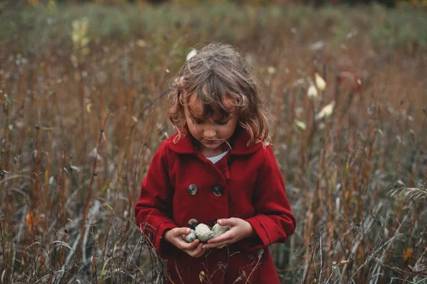 Mädchen Hält Wildblumenschoten Feld Aus Langem Gras — Stockfoto