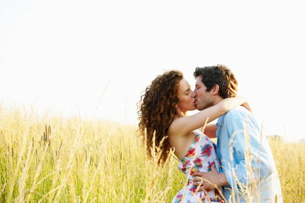Paar Küsst Sich Einem Weizenfeld — Stockfoto