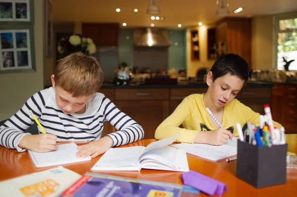 Boys Doing Homework Table — Stock Photo, Image