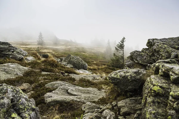 Niebla Montaña Arber Bodenmais Bavaria Alemania — Foto de Stock
