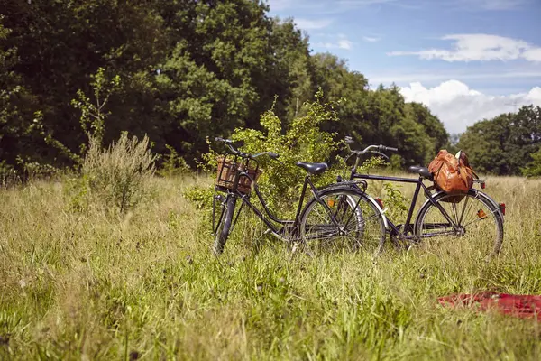 Два Велосипеда Припаркованы Куста Сельской Местности — стоковое фото