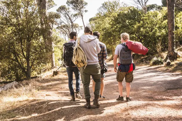 Rear View Four Men Hiking Forest Deer Park Cape Town — Stock Photo, Image