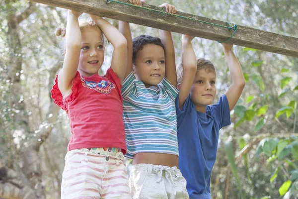 Troje Dzieci Patrząc Dala Ogrodzie — Zdjęcie stockowe