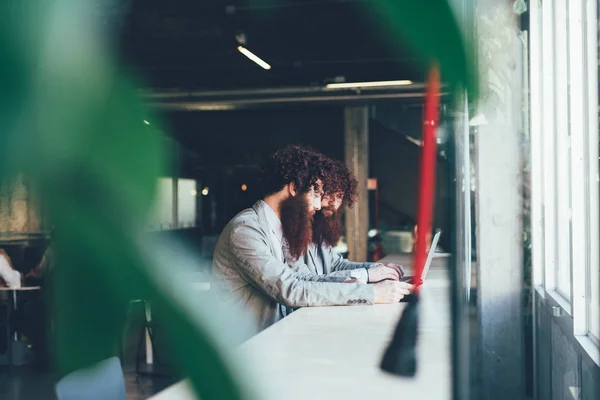 Male hipster twins working on laptop at office desk — Stock Photo