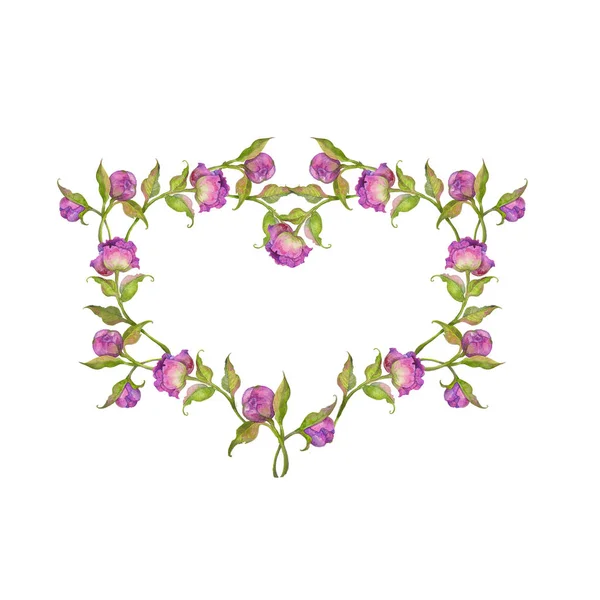水彩插图，花圈心花束的牡丹叶和芽 — 图库照片