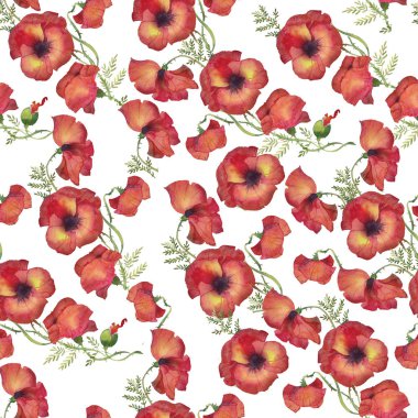 seamless modeli kırmızı haşhaş suluboya