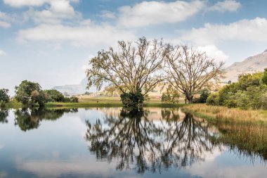 Büyük ağaçlar ile bulutlu gökyüzü doğa manzara Royal Natal National Park, Güney Afrika için suya yansıtan.