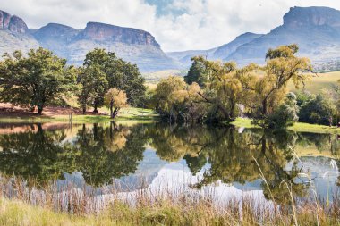 Suda ıslatın ve ağaçlar ve bulutlu gökyüzü Royal Natal National Park, Güney Afrika için yansıtan Kuzey Drakensberg Dağları.