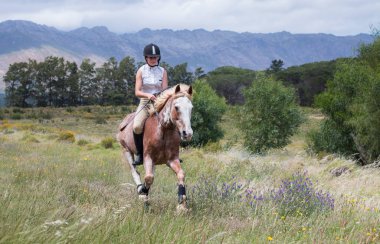 Sahada çıplak ve kameraya doğru dizginsiz bir şekilde bir Sabino boya atına binen kız..
