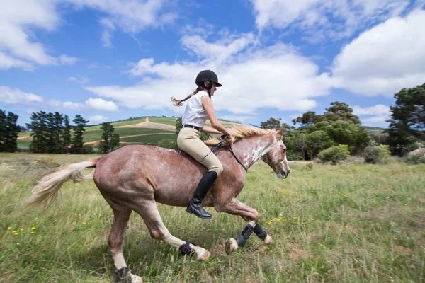Girl Galloping Sabino Paint Horse Field Bareback Bridle Side Profile — Stock Photo, Image