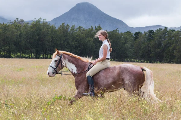 Menina Andando Campo Seu Cavalo Pintura Sabino Bareback Sem Perfil — Fotografia de Stock