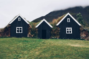 İzlanda'daki tipik küçük evler.