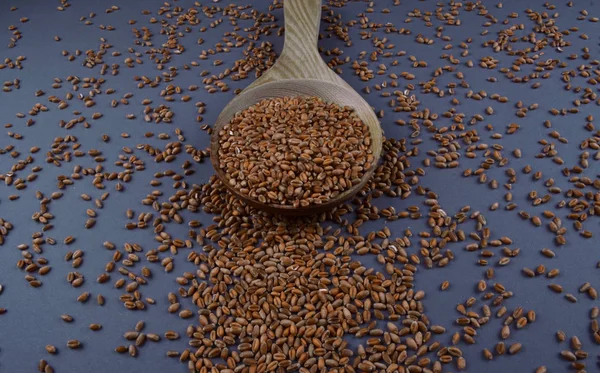Weizenkorn mit Kochlöffel. — Stockfoto
