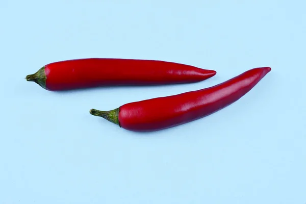 Roter Chilipapper auf blauem Hintergrund. — Stockfoto