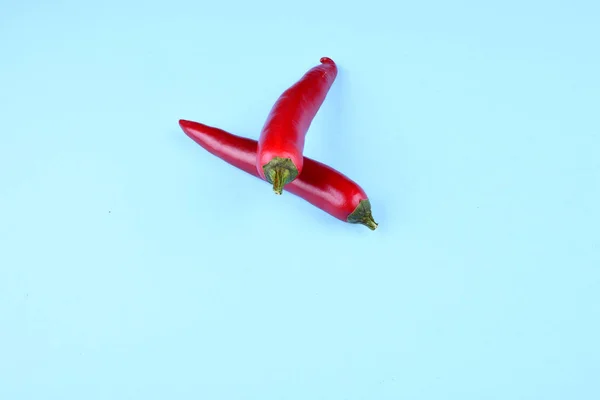 Papryka chili czerwony na niebieskim tle. — Zdjęcie stockowe