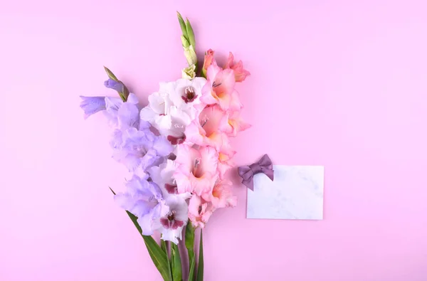 Bellissimi fiori gladiolus su sfondo rosa alla moda . — Foto Stock