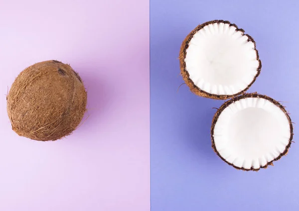 Frutos de coco sobre fondo colorido . —  Fotos de Stock