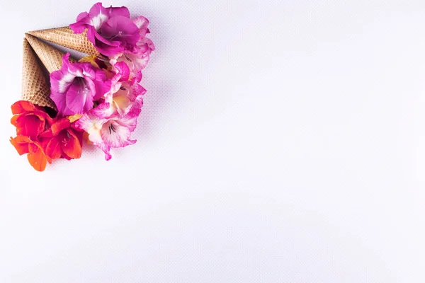 Cono de gofre con composición de flores . —  Fotos de Stock