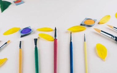 Suluboya ve bej renkli arka plan, fırçalar.