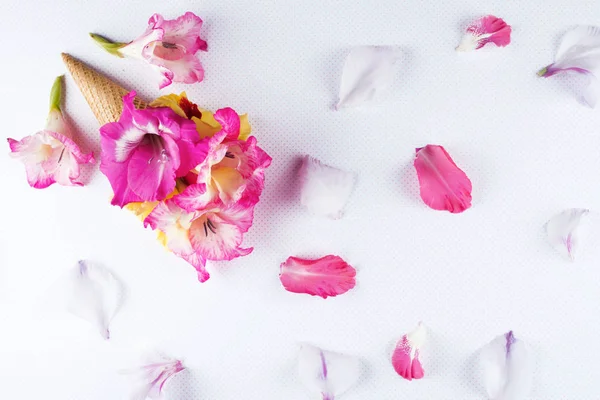 Cono de gofre con composición de flores . —  Fotos de Stock