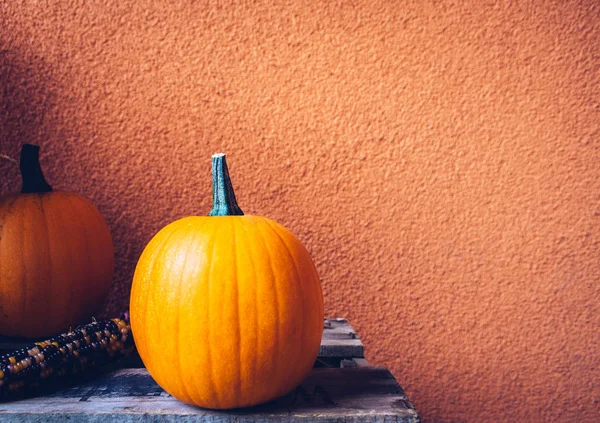 Herbststilleben mit Bio-Kürbissen. — Stockfoto