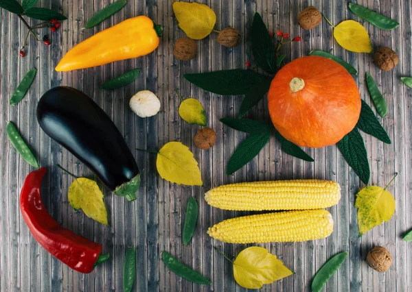 Vegetais sazonais frescos de outono em fundo de madeira . — Fotografia de Stock