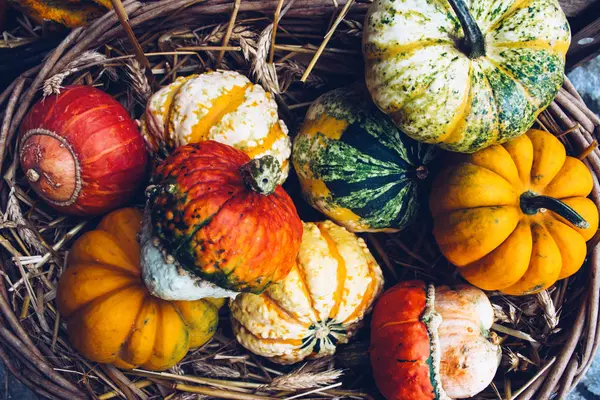 Organik kabak ile sonbahar natürmort.