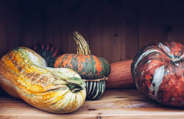 Organik kabak ile sonbahar natürmort.