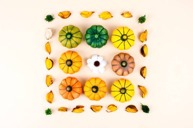 Sonbahar yaprakları ile dekoratif kabaklar.