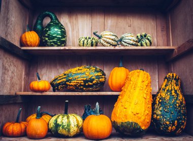 Organik kabak ile sonbahar natürmort.