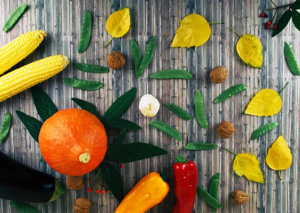 Ahşap arka plan üzerinde taze sonbahar mevsim sebzeleri.