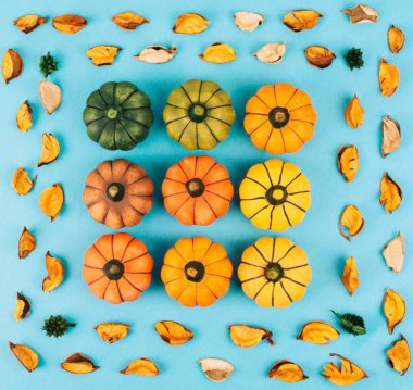 Modern arka plan üzerinde dekoratif kabaklar.